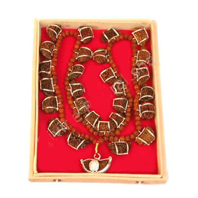 ek mukhi rudraksha pendant